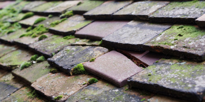 Llanfairpwllgwyngyll roof repair costs